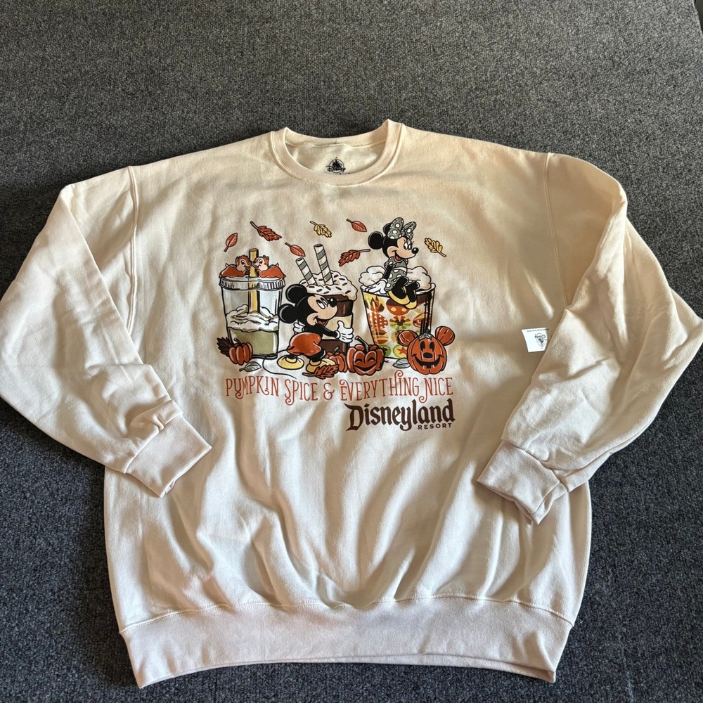 Disney Disneyland Pumpkin Spice Everything Nice Mickey Minnie Sweatshirt Lg NWT